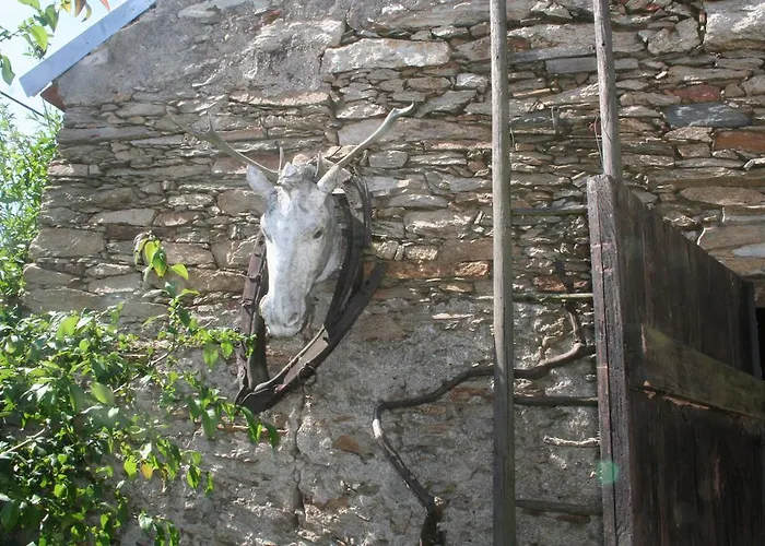 Séjour à la campagne U Studny *